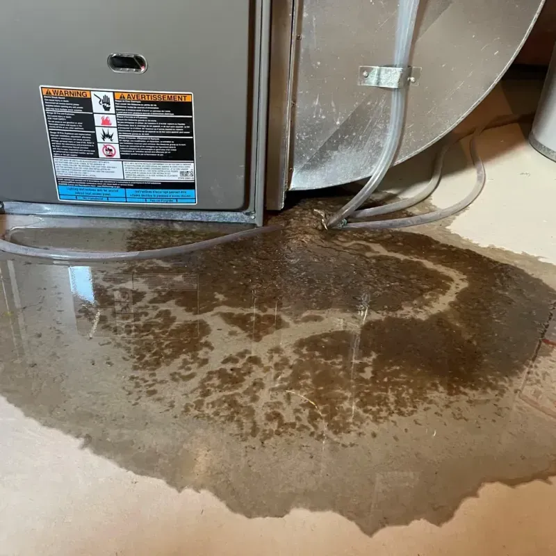 Appliance Leak Cleanup in Clemmons, NC